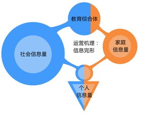 教育综合体运营中心项目运营方案