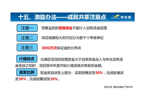 运营 解码集团高效管控的核心命脉