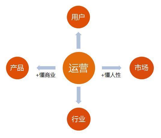 阿里巴巴运营团队的独特风貌 数据驱动下的“巷战”与“共生”